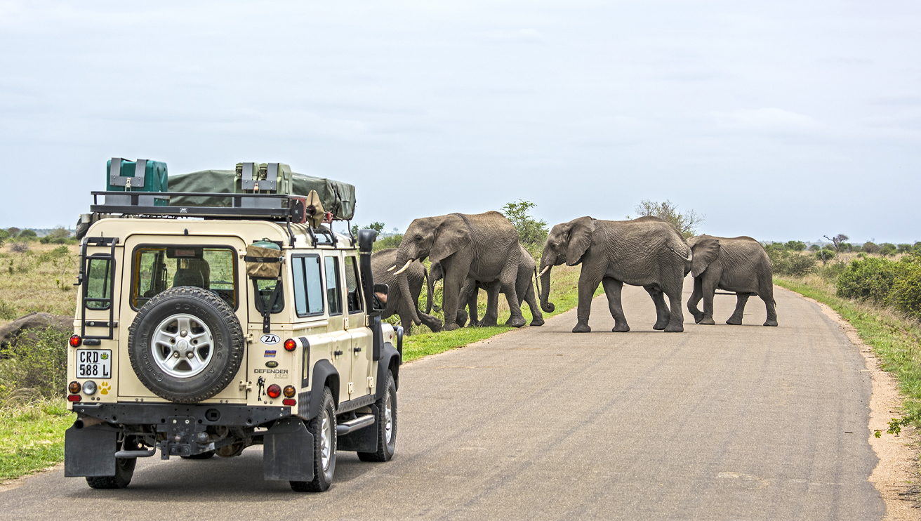 Kruger National Park