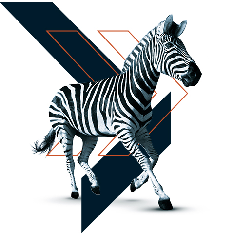 Ahead of the curve logo