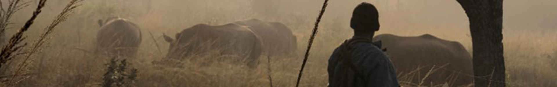 Anti-poaching unit looking after rhino in the wild