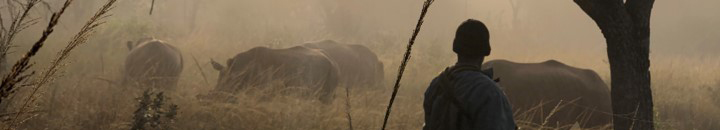 Anti-poaching unit looking after rhino in the wild