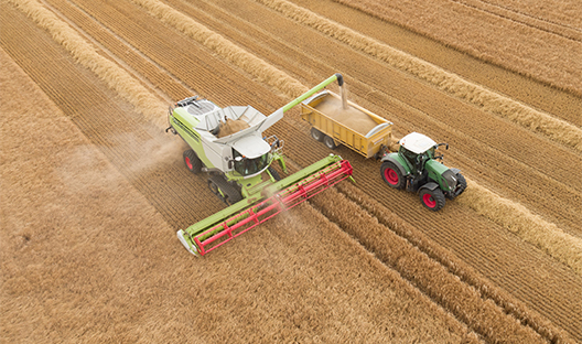 Harvesting of grain