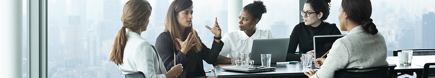 Women in the boardroom