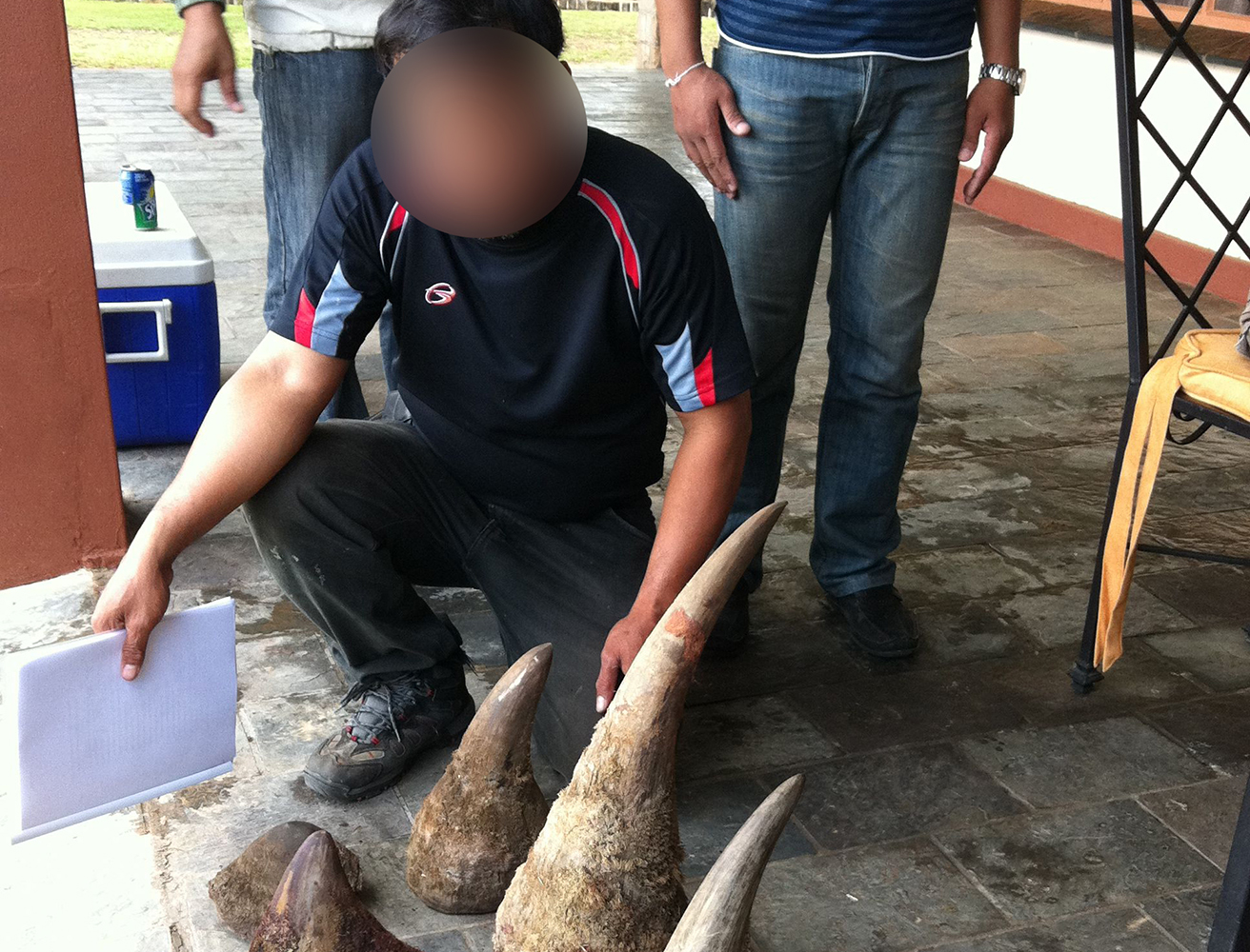 horn seized