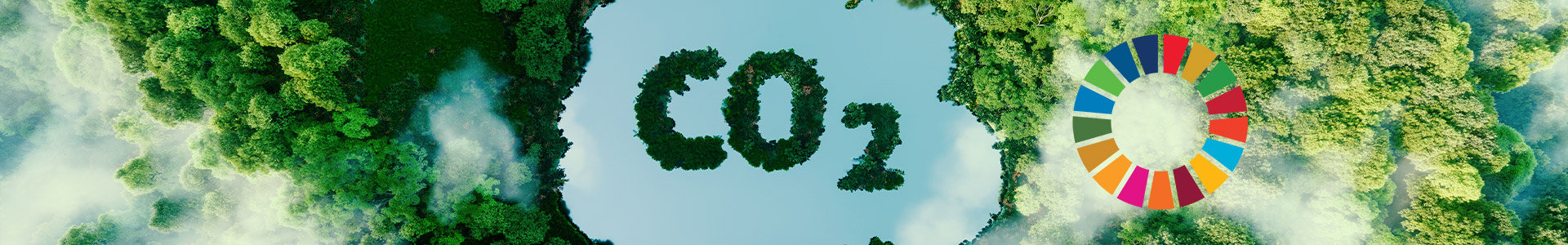 CO2 text sitting on top of forest viewed from above