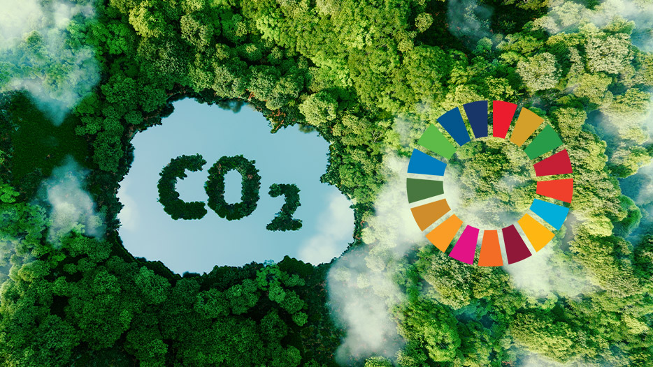 sdg 13 climate action essay