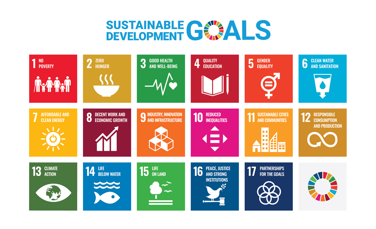 The 17 Sustainable Development Goals (SDGs)