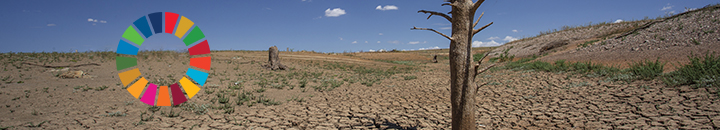 Dry cracked earth and single dead tree
