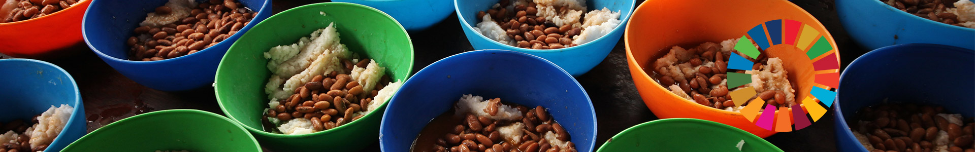 Rows of food to help feed the poor