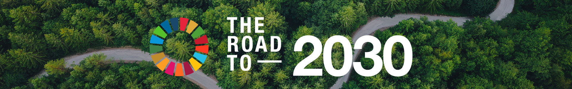 The Road to 2030