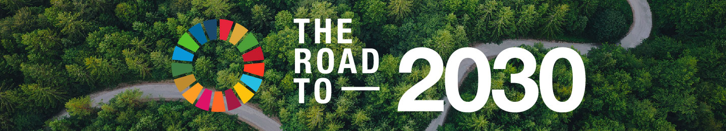 The Road to 2030