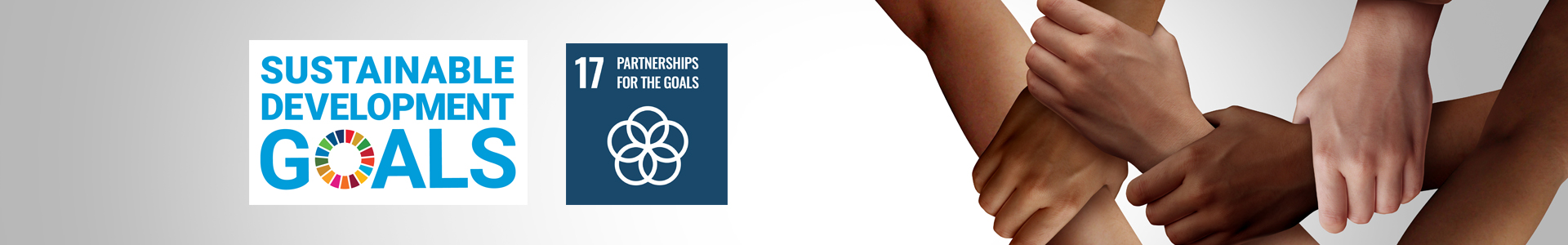 Hands forming a chain along with the SDG 17 logo "Partnerships for the Goals"