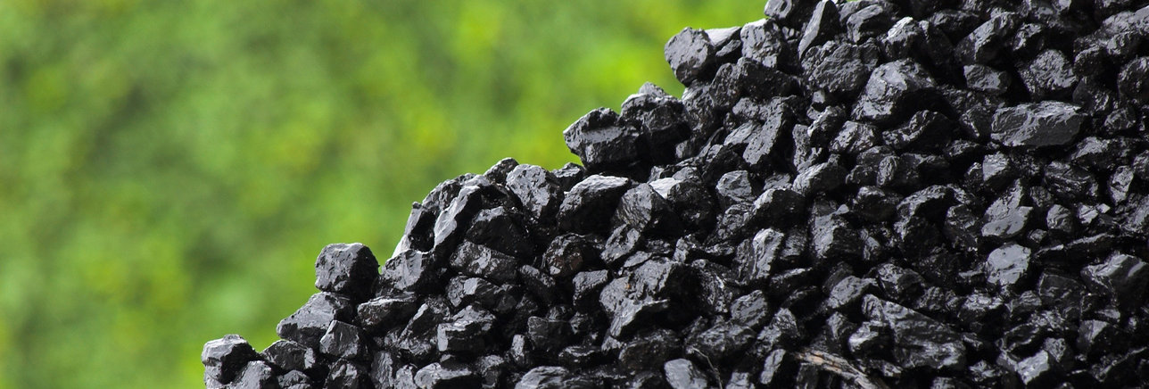 Pile of lumps of coal with green background