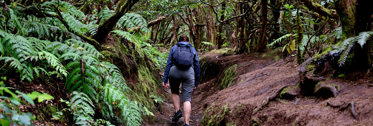 Female walking through a forest