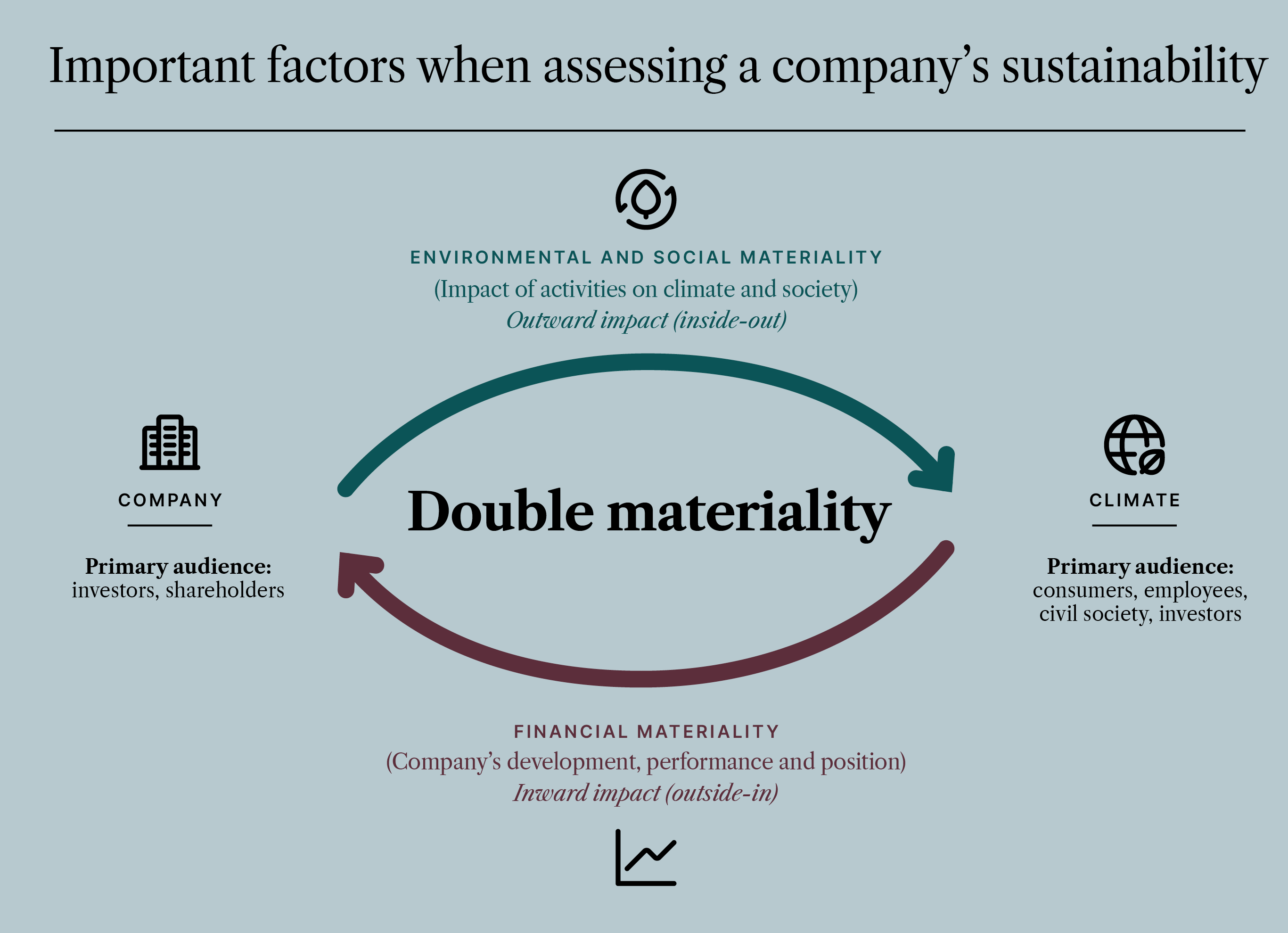 Double materiality graphic