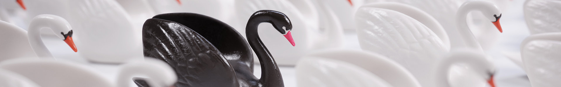 investment black swan