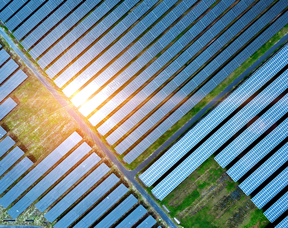 solar panels in a field