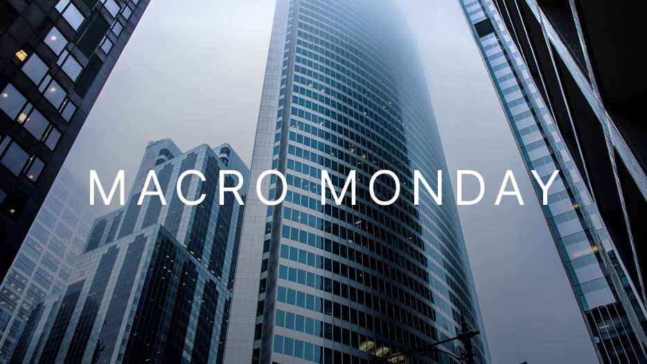 Macro Monday amidst city skyscrapers