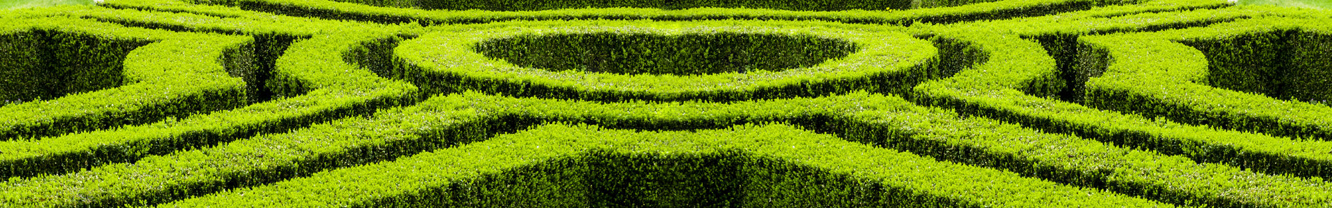 The cost of complexity