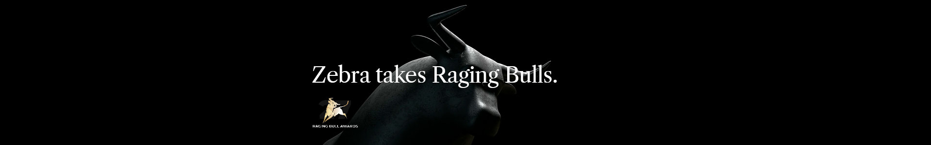 Zebra takes raging bulls