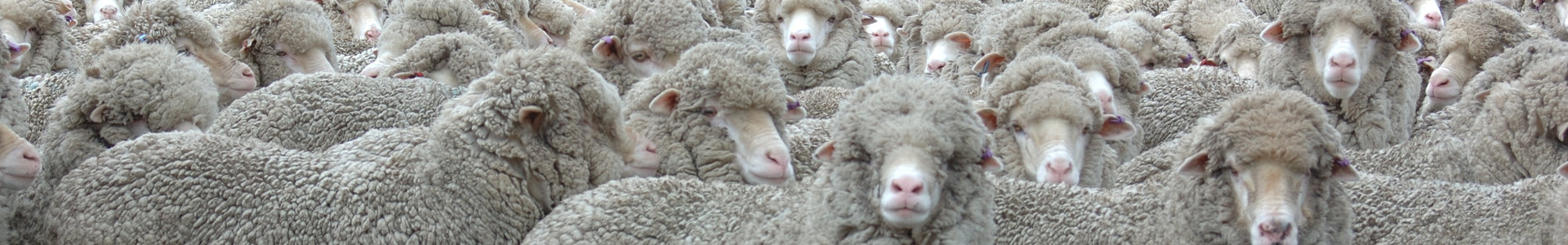 Don't follow the herd when investing