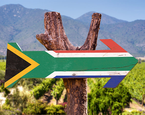 Arrow with south african flag painted on it attached to a tree