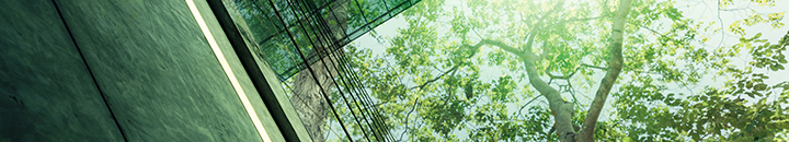 Sustainable green office showing tree and angular windows 