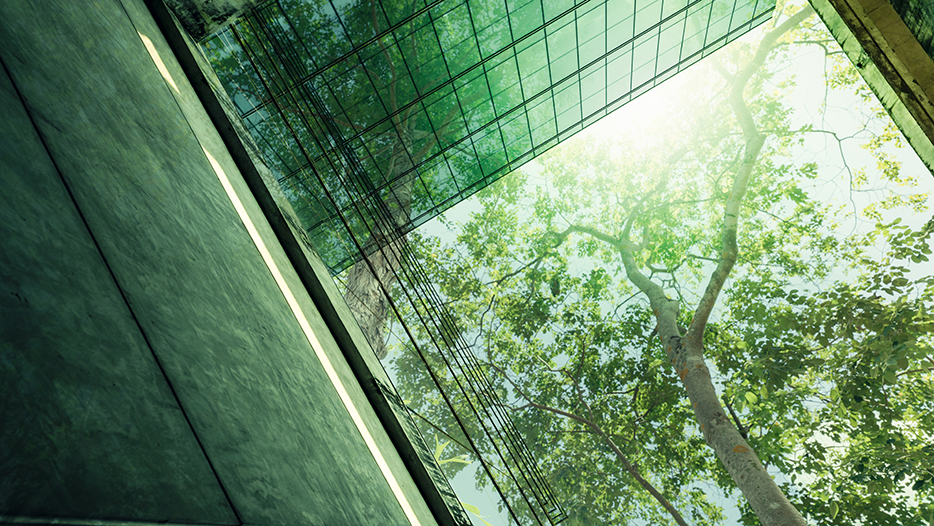 Sustainable green office showing tree and angular windows 