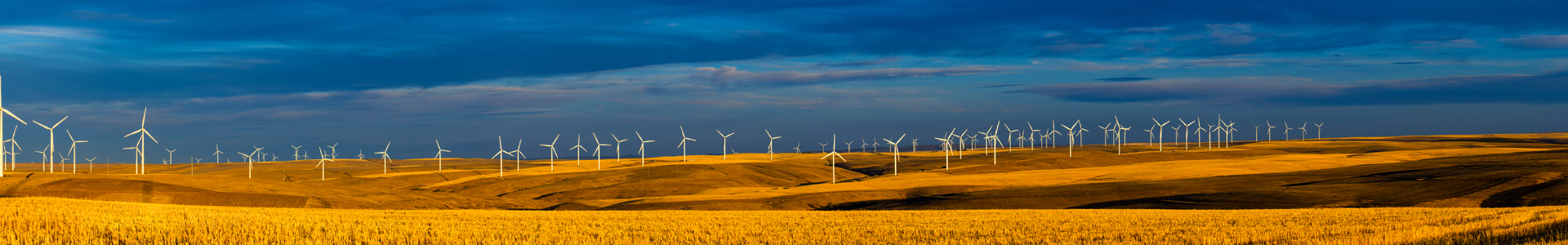 Wind farm