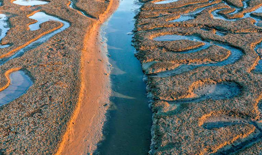 River and wetlands