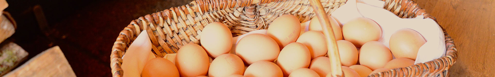 Eggs in one basket