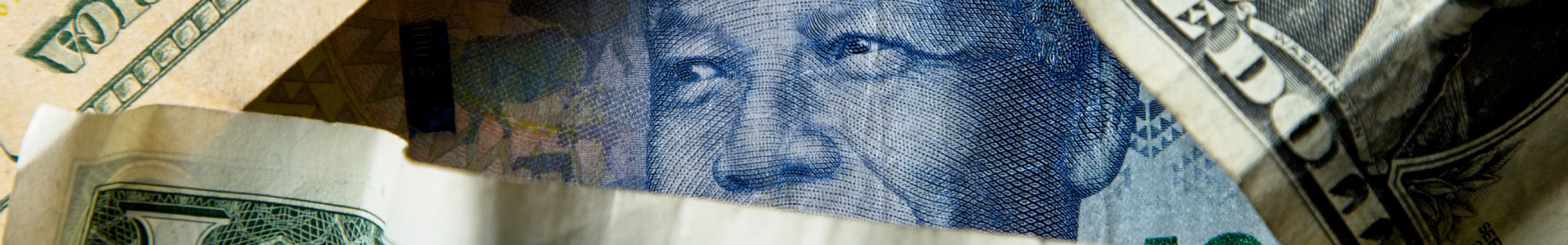 Rand and dollar notes