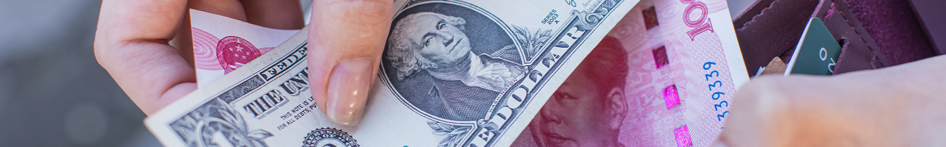 Holding USD notes in a wallet