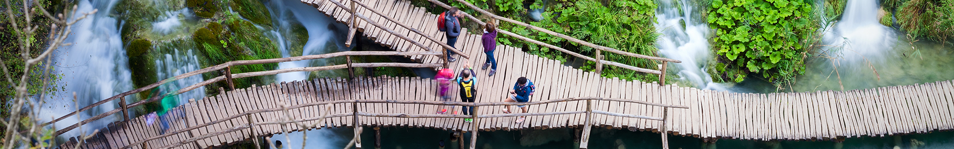 Overview of a bridge which splits into two ways