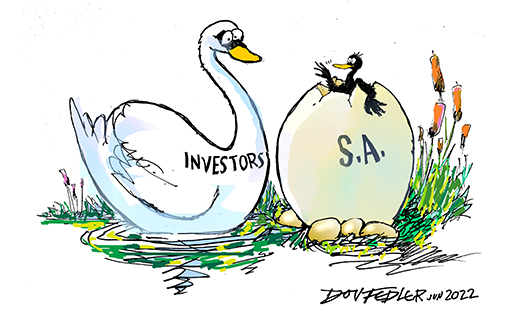 swan and ugly duckling hatching cartoon