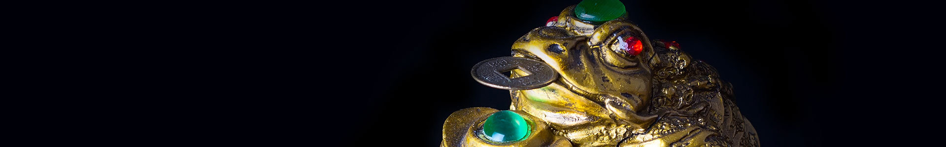Brulpadda – Let’s not squander the “money toad”