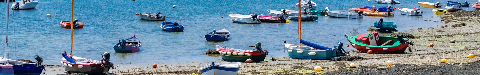 Seaside full of small boats
