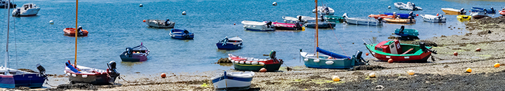Seaside full of small boats