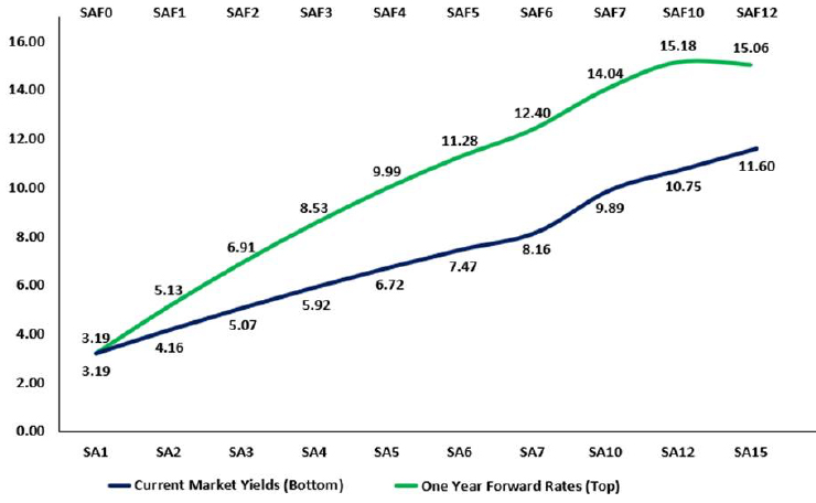 The RSA yield curve and the implicit one-year forward rates  graph