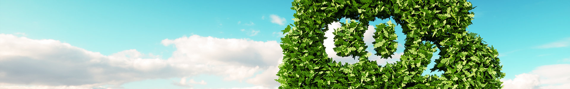 Landscape with the letters CO2 in a bush