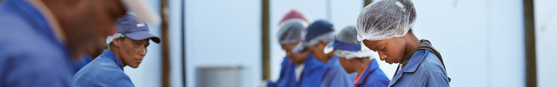 South Africa’s employers working factory line