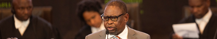 Enoch Godongwana