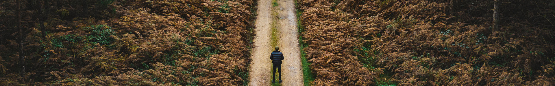 Man walking in the woods
