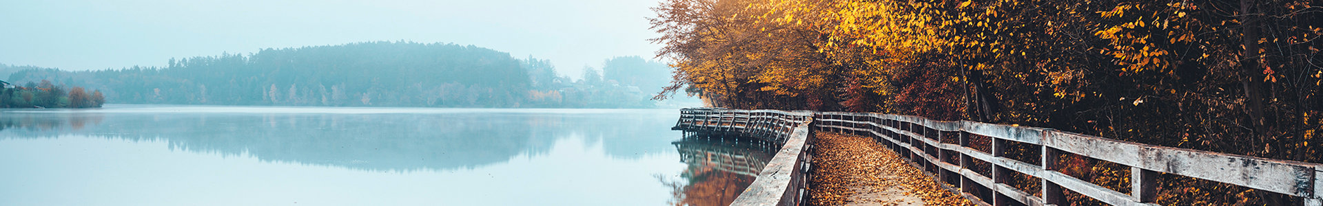 autumn of life