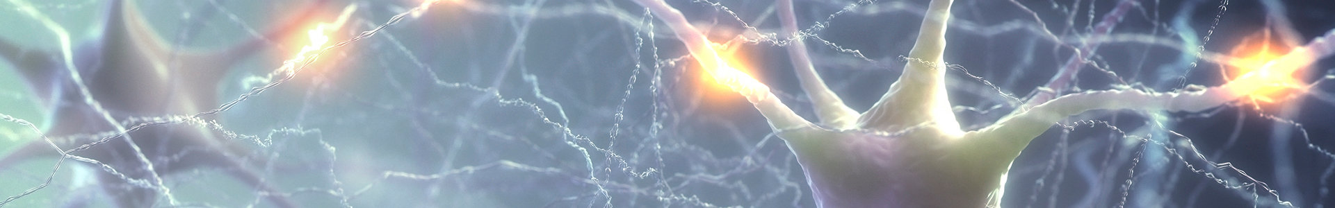 Neuroscience