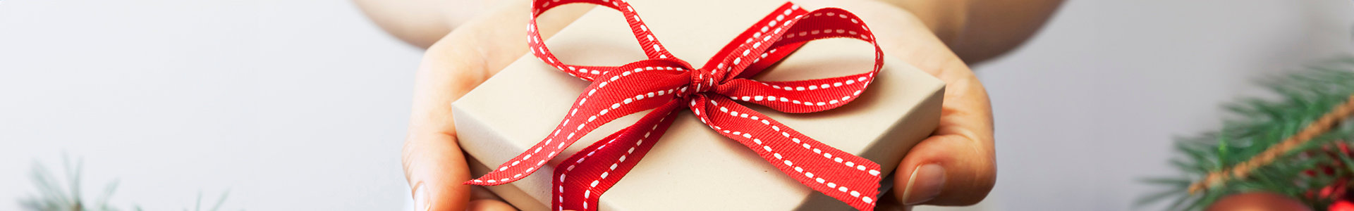 Hands holding small present with a bow