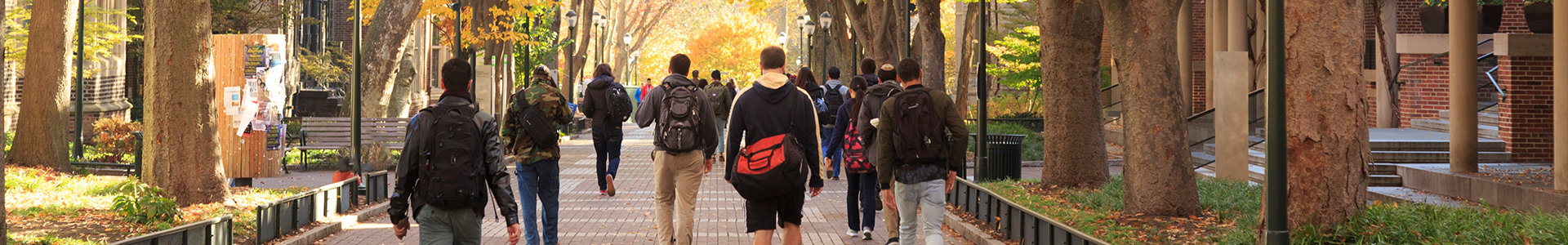 A group of students walking down a path