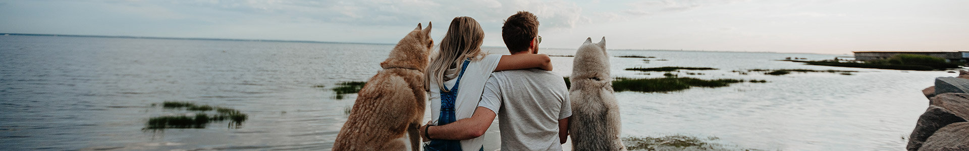 Young couple sitting with their dogs on a rock by sea
