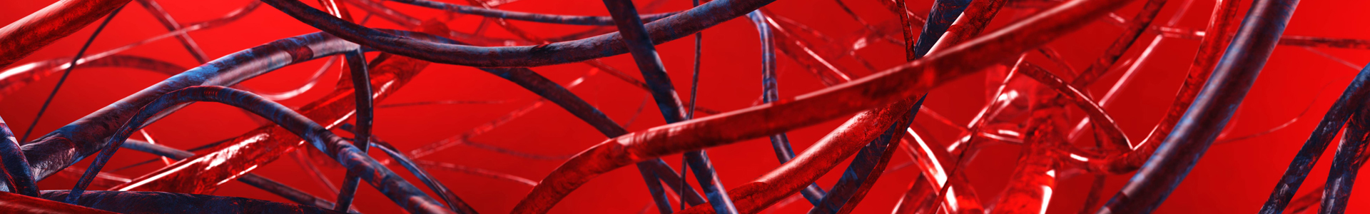 Arteries