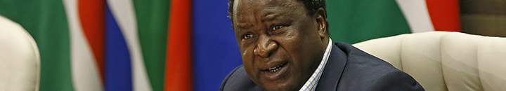 Tito Mboweni image
