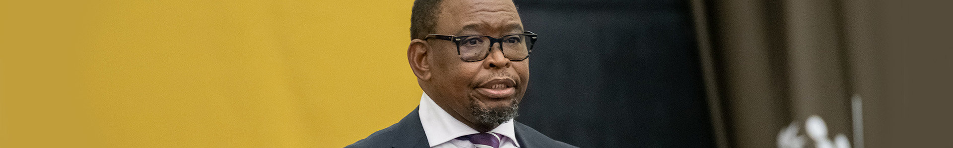 Minister Godongwana